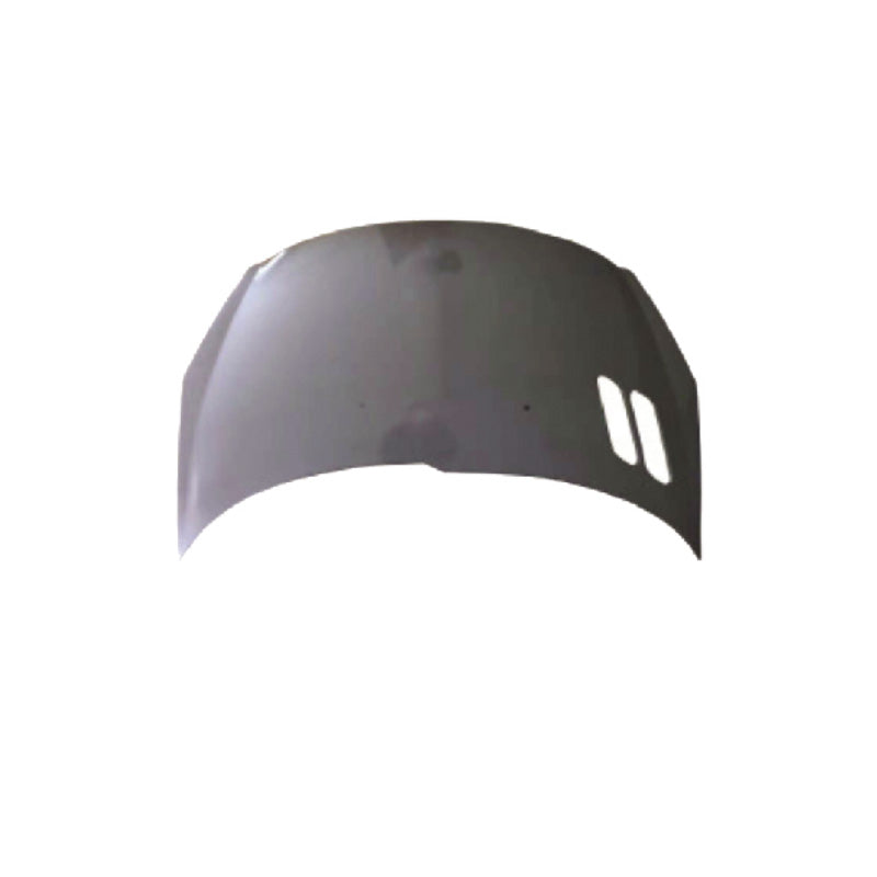 REPLACEMENT HOOD, FOR PEUGEOT 206