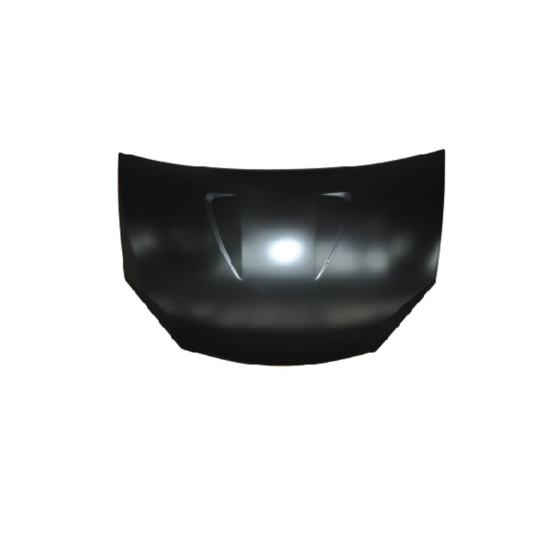 REPLACEMENT HOOD, 2009, FOR DACIA SANDERO, 6001551793